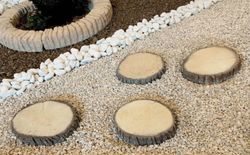 Paso Japonés Medallón Verniprens