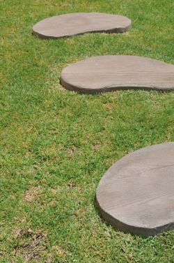 Japoński Step Sake Verniprens