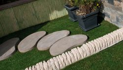 Japoński Step Sake Verniprens