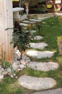 Paso japonés Sushi Verniprens