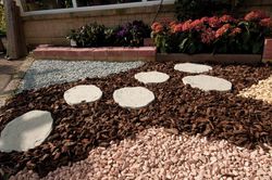 Japoński Step Tofu Verniprens