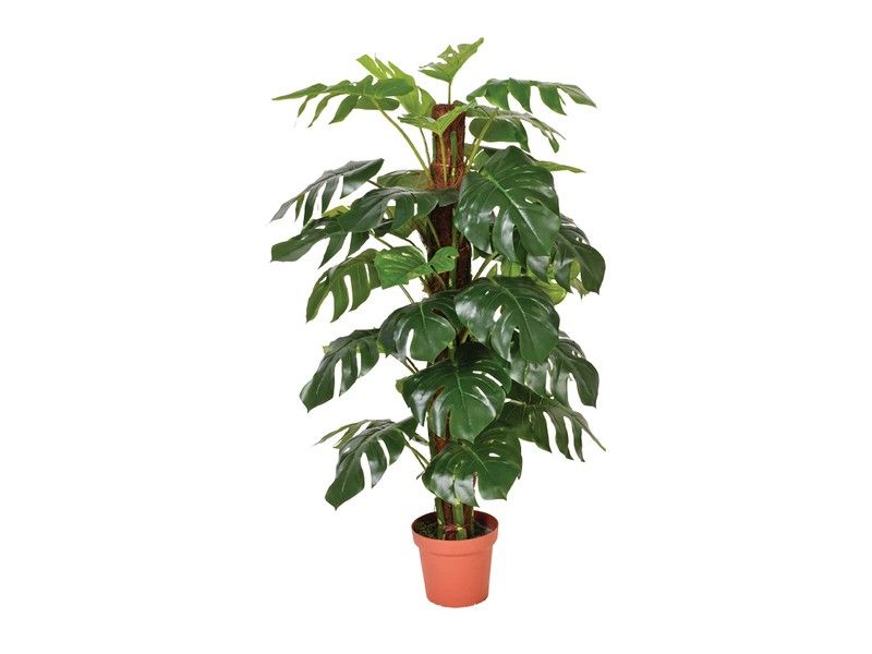 Knstliche Pflanze Monstera 135cm Catral