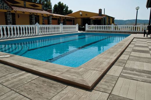 Leilão Canadá Oregon 5 x 45 x 50 cm Verniprens