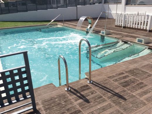 Leilão Canadá Oregon 5 x 45 x 50 cm Verniprens