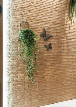 Manchester Sunrise Betongevel 2,5 x 4 x 36 cm Verniprens