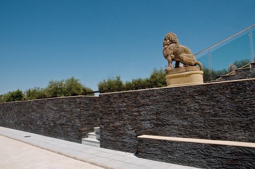 Επίστρωση Laredo Magma Verniprens