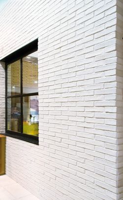 Wall tiles Oxford White 2,5x5,5x24cm Verniprens