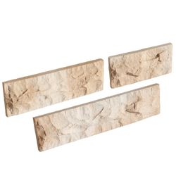 Saboya Aneto Verniprens wandtegels