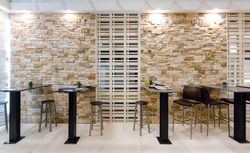 Cladding Sierra Nevada Corteza 3x20x60cm Verniprens