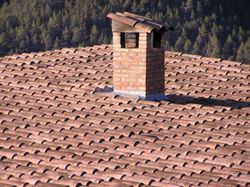 Teja curva C50.21 Edetania Nature Tejas Borja