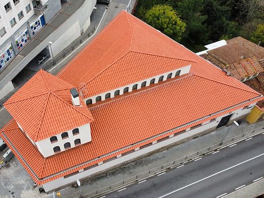 Teja curva C50.21 Roja Nature Tejas Borja