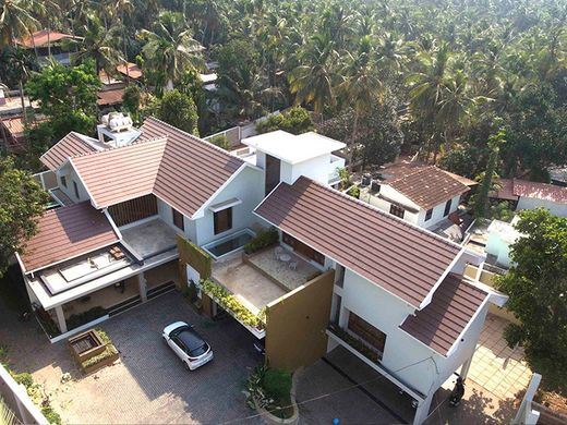 Teja Flat-10 Czekoladowe Tejas Borja