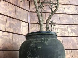 Platt takpanne Flat-5XL Tokyo koppar Tejas Borja