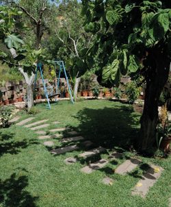 Traviesa Lorcha 5x25x60 Verniprens