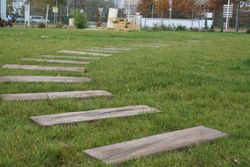 Traviesa Lorcha 5x25x90 Verniprens